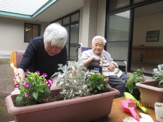 夏の花を植えました 社会福祉法人 敬愛会